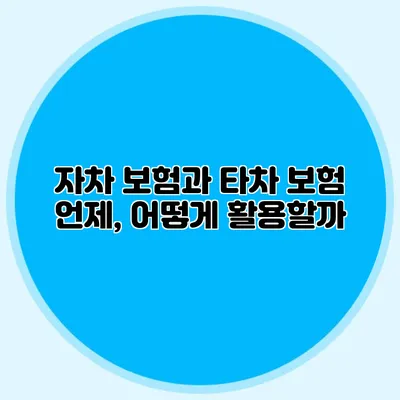 자차 보험과 타차 보험 언제, 어떻게 활용할까?