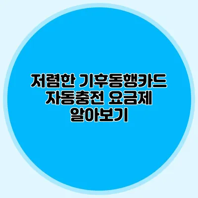 저렴한 기후동행카드 자동충전 요금제 알아보기
