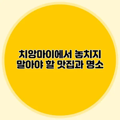 치앙마이에서 놓치지 말아야 할 맛집과 명소