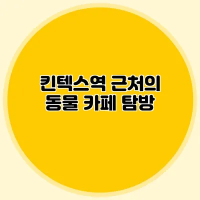 킨텍스역 근처의 동물 카페 탐방