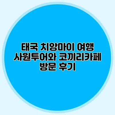 태국 치앙마이 여행 사원투어와 코끼리카페 방문 후기