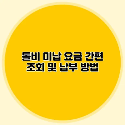 톨비 미납 요금 간편 조회 및 납부 방법