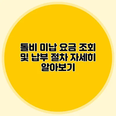 톨비 미납 요금 조회 및 납부 절차 자세히 알아보기