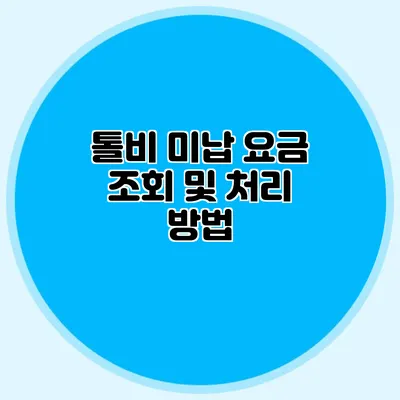 톨비 미납 요금 조회 및 처리 방법