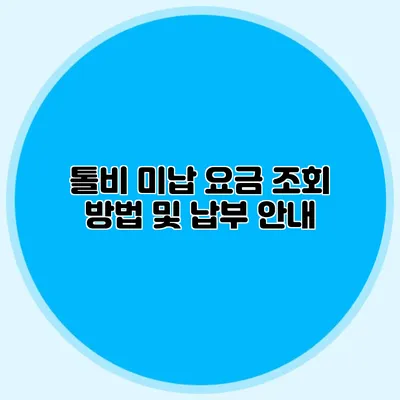 톨비 미납 요금 조회 방법 및 납부 안내