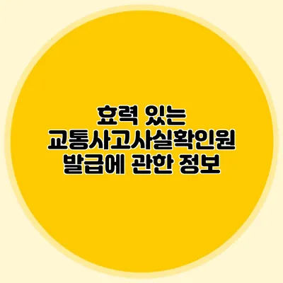 효력 있는 교통사고사실확인원 발급에 관한 정보