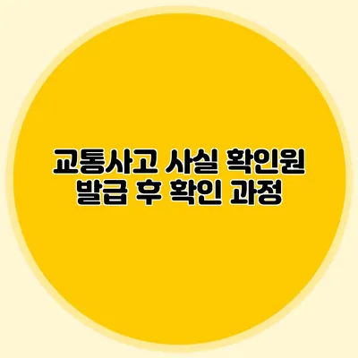 교통사고 사실 확인원 발급 후 확인 과정
