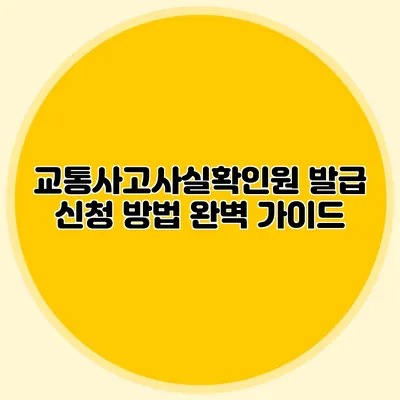 교통사고사실확인원 발급 신청 방법 완벽 가이드