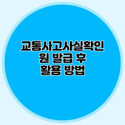 교통사고사실확인원 발급 후 활용 방법