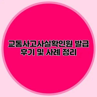 교통사고사실확인원 발급 후기 및 사례 정리
