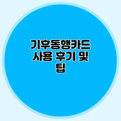기후동행카드 사용 후기 및 팁