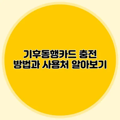 기후동행카드 충전 방법과 사용처 알아보기