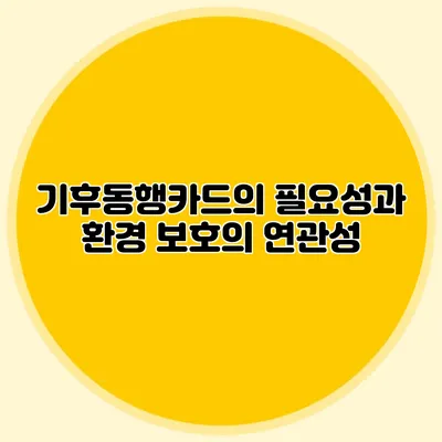 기후동행카드의 필요성과 환경 보호의 연관성