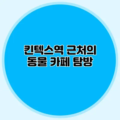킨텍스역 근처의 동물 카페 탐방