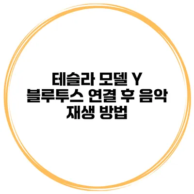 테슬라 모델 Y 블루투스 연결 후 음악 재생 방법