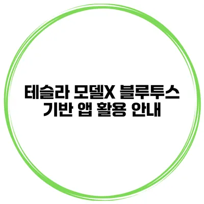 테슬라 모델X 블루투스 기반 앱 활용 안내